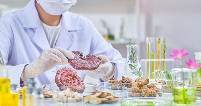 Reishi, Tamoxifen and BRCA: Myths vs. Scientific Facts