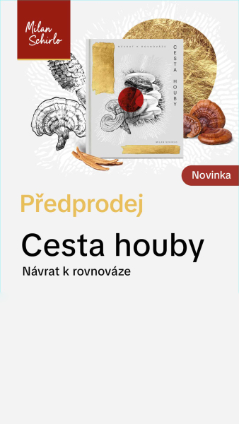Reels_NOVINKA_KNIHA.jpg