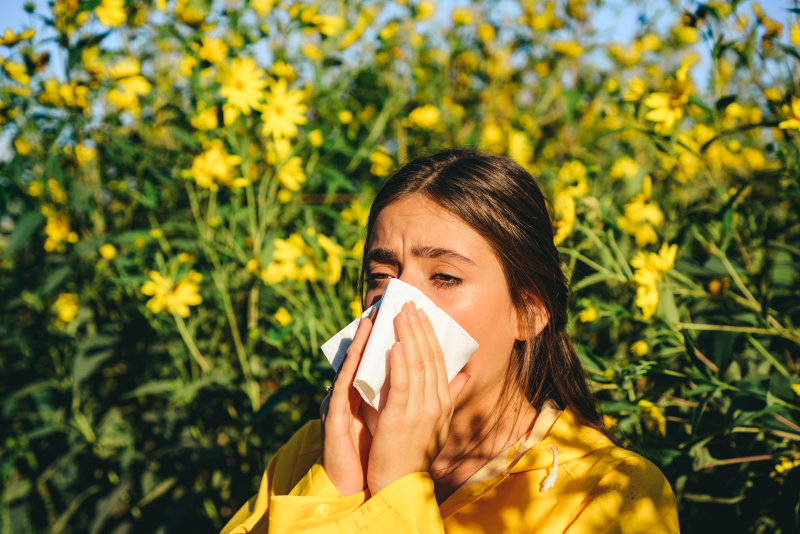 “Hay fever” from the perspective of Chinese medicine