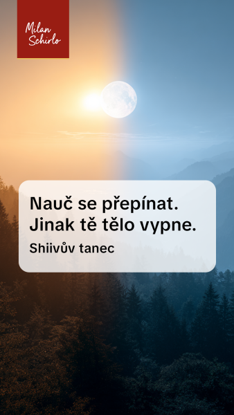 Reels_Shiivuv-tanec.png